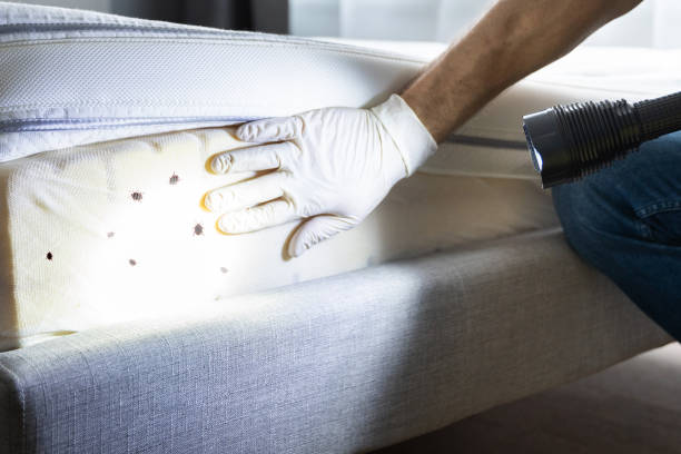 Best Affordable Pest Control Services  in Hudson Oaks, TX