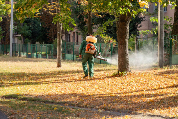Best Mosquito Control Services  in Hudson Oaks, TX